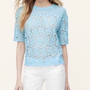 Loft Ann Taylor Loft Lace Blossoms Crop Tee Blue Blogger Favorite Size Large